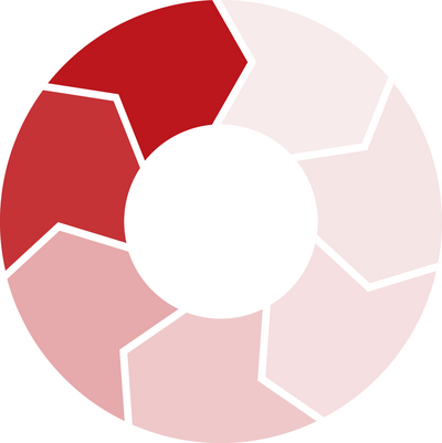 Entwicklungskreis_pironex