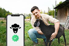 Asset Tracking und Service App für Android und iOS IoT Service App für das Asset Tracking